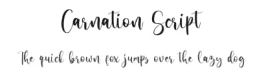 Carnation Script by Ferdiansyah — Script Handwritten Font — thumbnail 1