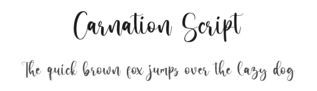 Carnation Script by Ferdiansyah — Script Handwritten Font