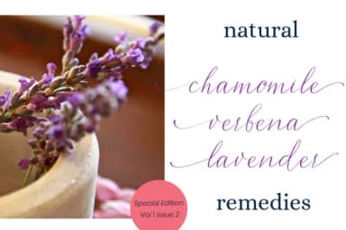 Carnelian Antique Font by Primafox Design — Script Handwritten Font — thumbnail 5