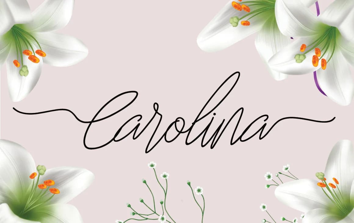 Carolina Font by Sinfa.co — Script Handwritten Font