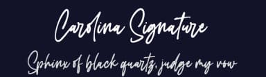 Carolina Signature by NJ Studio — Script Handwritten Font — thumbnail 2