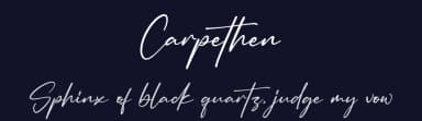Carpethen by Letterena Studios — Script Handwritten Font — thumbnail 2