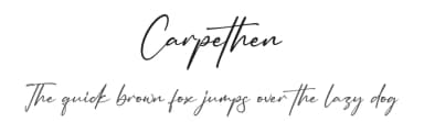 Carpethen by Letterena Studios — Script Handwritten Font — thumbnail 1