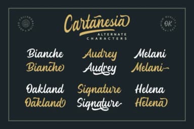 Cartanesia Font by Adyfo (7NTypes) — Script Handwritten Font — thumbnail 2