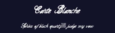 Carte Blanche by Xerographer Fonts — Script Handwritten Font — thumbnail 2