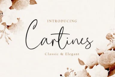 Cartines Font by Cotbada Studio — Script Handwritten Font — thumbnail 1
