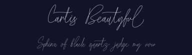 Cartis Beautyful by ToniStudio — Serif Font — thumbnail 2