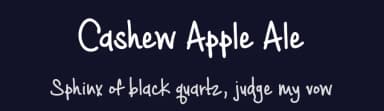 Cashew Apple Ale by Brittney Murphy Design — Script Handwritten Font — thumbnail 2