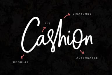 Cashion Font by Emtheen Std. — Script Handwritten Font — thumbnail 6