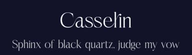 Casselin by Letterena Studios — Serif Font — thumbnail 2