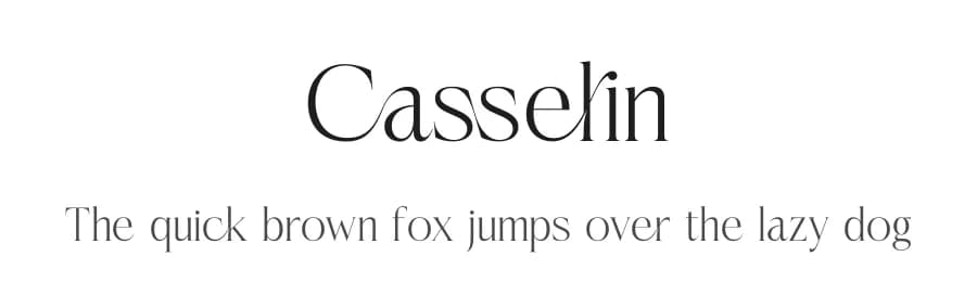 Casselin by Letterena Studios — Serif Font