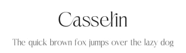Casselin by Letterena Studios — Serif Font — thumbnail 1