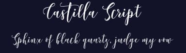 Castilla Script by Joelmaker — Script Handwritten Font — thumbnail 2