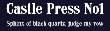 Castle Press No1 by Pilaster Davy — Serif Font — thumbnail 2