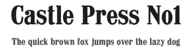 Castle Press No1 by Pilaster Davy — Serif Font — thumbnail 1