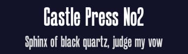 Castle Press No2 by Pilaster Davy — Sans Serif Font — thumbnail 2