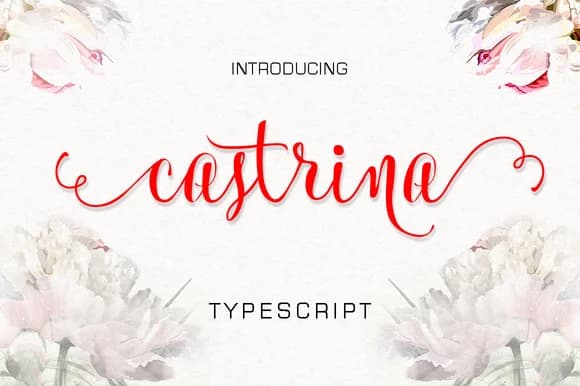 Castrina Font by LostvolType — Script Handwritten Font — preview 1