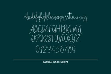 Casual Mark Script Font by Pedro Alexandre Teixeira — Script Handwritten Font — thumbnail 4