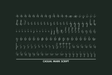 Casual Mark Script Font by Pedro Alexandre Teixeira — Script Handwritten Font — thumbnail 5