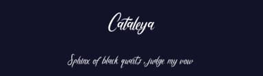 Cataleya by Creative Lab — Script Handwritten Font — thumbnail 2