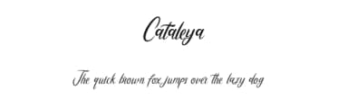 Cataleya by Creative Lab — Script Handwritten Font — thumbnail 1