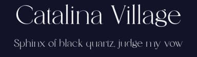Catalina Village by Dealita Studio — Serif Font — thumbnail 2