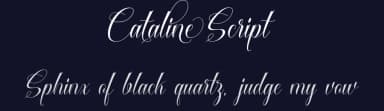 Cataline Script by Cooldesignlab — Script Handwritten Font — thumbnail 2