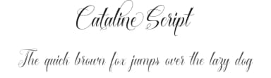 Cataline Script by Cooldesignlab — Script Handwritten Font — thumbnail 1