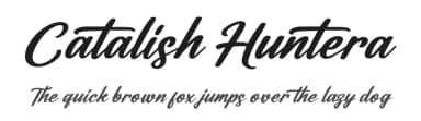 Catalish Huntera by Perspectype Studio - Letterena.com — Script Handwritten Font — thumbnail 1
