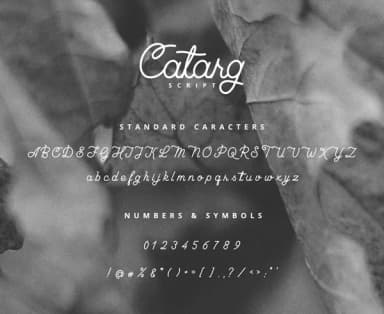 Catarg Font by Headfonts — Script Handwritten Font — thumbnail 9