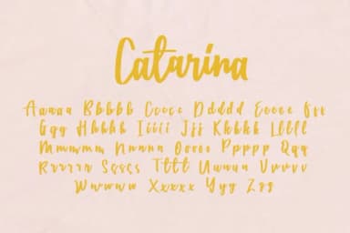 Catarina Font by alphArt — Script Handwritten Font — thumbnail 8