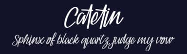 Catetin by DYSA Studio — Script Handwritten Font — thumbnail 2