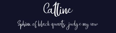 Catline by Vunira Design — Script Handwritten Font — thumbnail 2