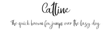 Catline by Vunira Design — Script Handwritten Font — thumbnail 1