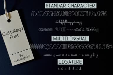 Cattalleya Font by Marchtwentype — Script Handwritten Font — thumbnail 8