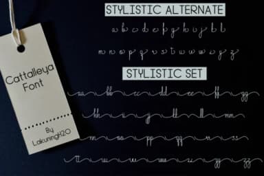 Cattalleya Font by Marchtwentype — Script Handwritten Font — thumbnail 9