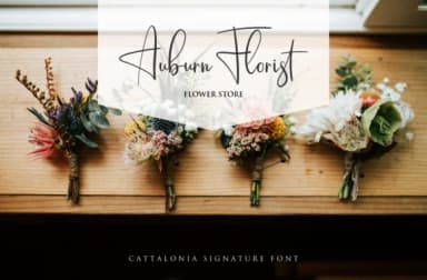 Cattalonia Font by Pen Culture — Script Handwritten Font — thumbnail 4