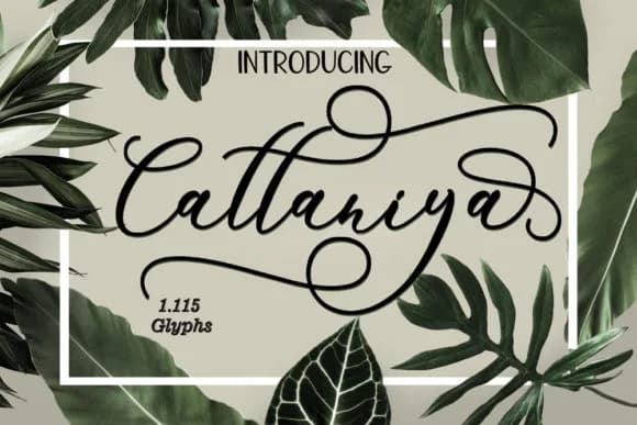 Cattaniya Font by FontCloud — Script Handwritten Font