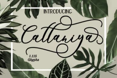 Cattaniya Font by FontCloud — Script Handwritten Font — thumbnail 1