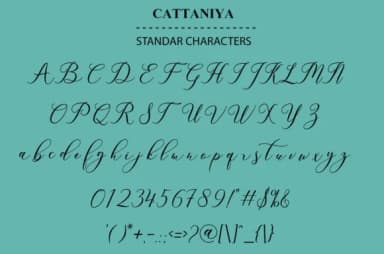 Cattaniya Font by FontCloud — Script Handwritten Font — thumbnail 2