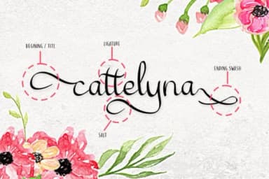 Cattelyna Font by MJB Letters — Script Handwritten Font — thumbnail 2
