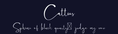 Cattus by Craft Supply Co. — Script Handwritten Font — thumbnail 2
