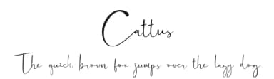 Cattus by Craft Supply Co. — Script Handwritten Font — thumbnail 1