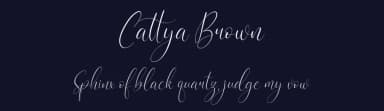 Cattya Brown by Perspectype Studio - Letterena.com — Script Handwritten Font — thumbnail 2
