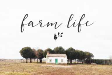 Cedrika Font by Tabita's shop — Script Handwritten Font — thumbnail 6