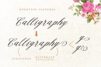 Cellicia Font by Ian Mikraz — Script Handwritten Font — thumbnail 5