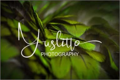 Celosia Font by ed.creative — Script Handwritten Font — thumbnail 4