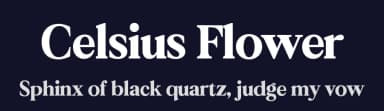 Celsius Flower by Typehill Studio — Serif Font — thumbnail 2