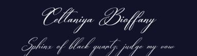 Celtaniya Bioffany by Gracetype Studio — Script Handwritten Font — thumbnail 2