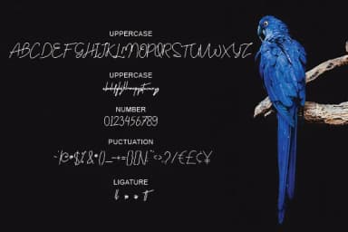 Centhil Font by Febri Creative — Script Handwritten Font — thumbnail 5